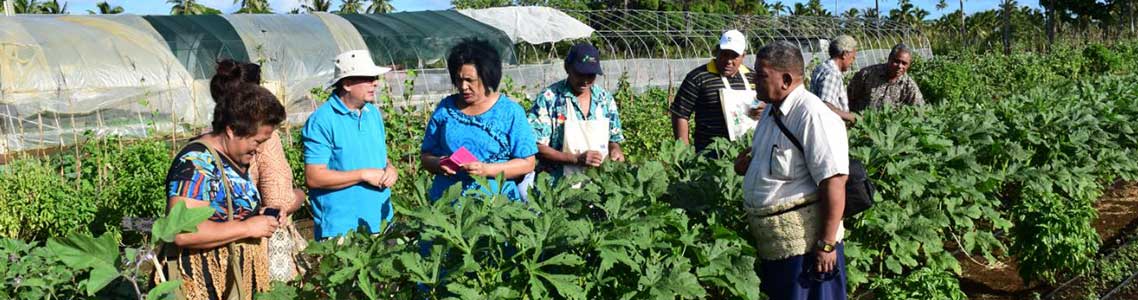 The Pacific Agriculture Policy Project